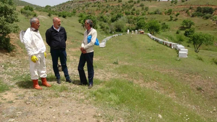 Elazığ Arı Yetiştiricileri Birliği Başkanı Canbay: 'Ekolojik dengede en önemli unsur arıdır'

