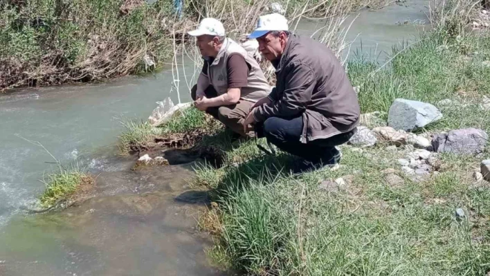 Elazığ'da Hazar İnci ve Siraz Balığı izleme  çalışması yapıldı

