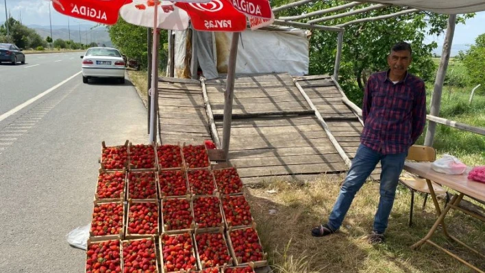 Kuyulu çileği görücüye çıktı

