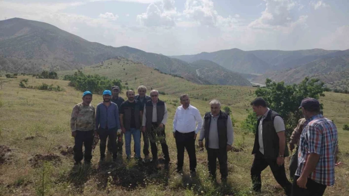 Palu'daki bademler yöre halkına gelir kapısı olacak

