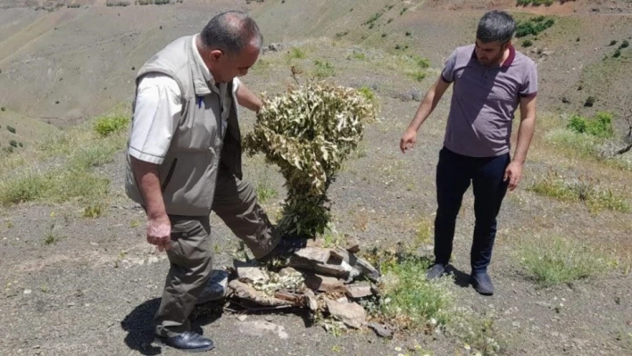 Elazığ'da kaçak avcılığın önlenmesi için denetimler sürüyor

