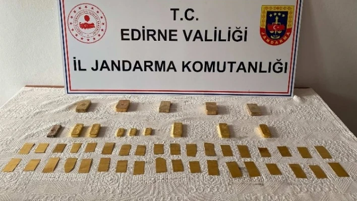 Kapıkule'de kaçak külçe altınlara el konuldu