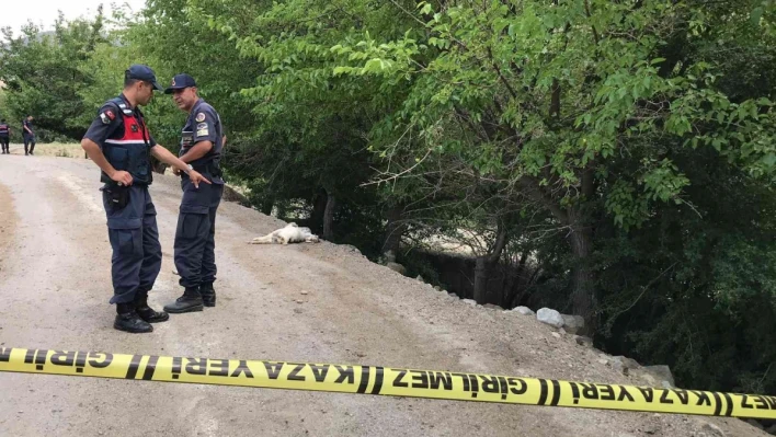 Elazığ'da tarla sulama kavgası: 5 yaralı
