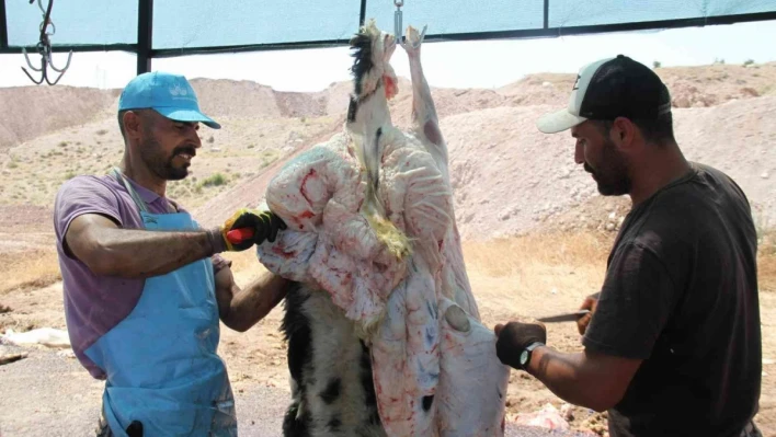 Elazığ'da kurban kesimi ikinci gününde de devam etti
