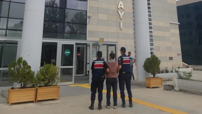 Elazığ'da hırsızlık suçundan aranan şüpheli jandarma ekipleri tarafından yakalandı
