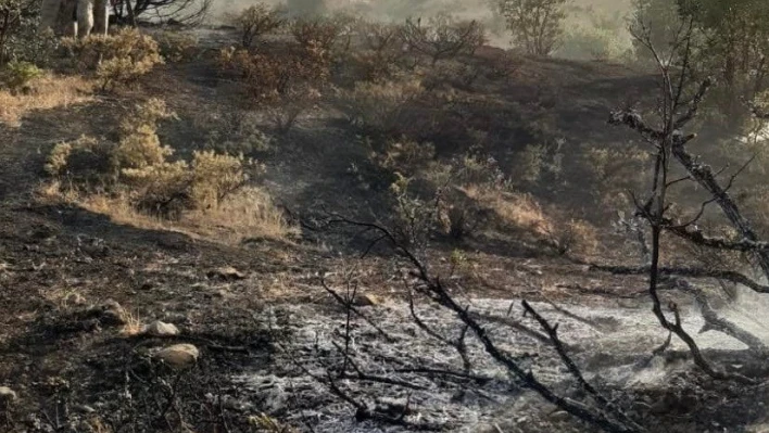 Elazığ'da ormanlık alanda çıkan yangın büyümeden söndürüldü
