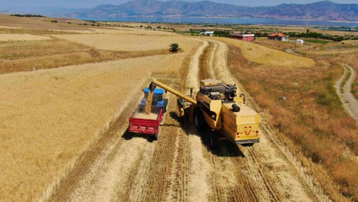 Elazığ'da yılın ilk arpa hasadı gerçekleştirildi
