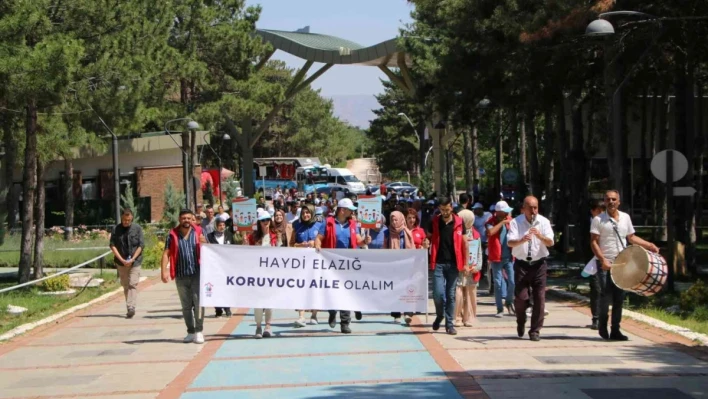 Elazığ'da 30 Haziran Koruyucu Aile Günü yürüyüşü düzenlendi
