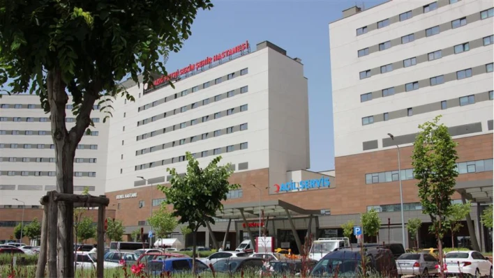 Alpgiray'ın Durumu Şu Anda İyi