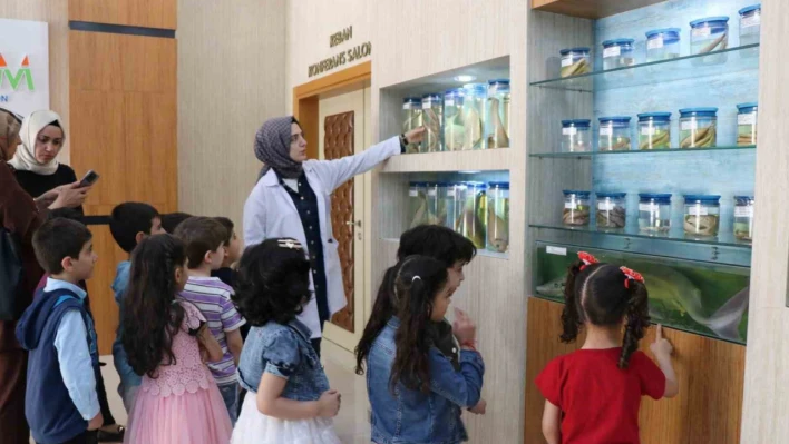 Anaokulu öğrencilerinden Balık Müzesine ziyaret