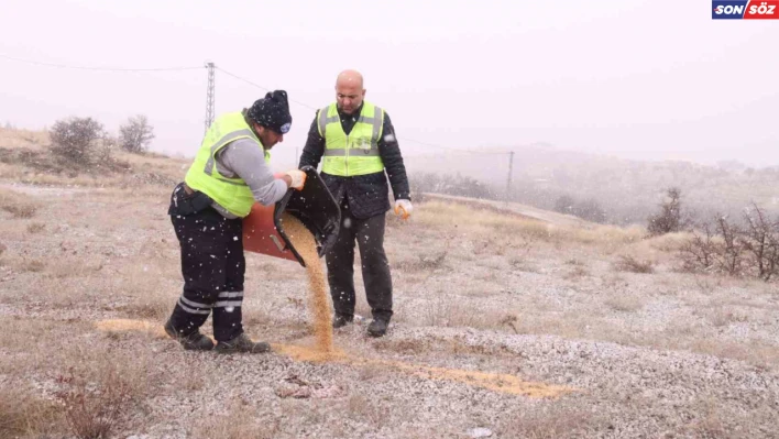 Elazığ Belediyesi yaban ve sokak hayvanları için çalışma başlattı