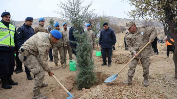 Elazığ'da 2 bin 300 fidan toprakla buluştu