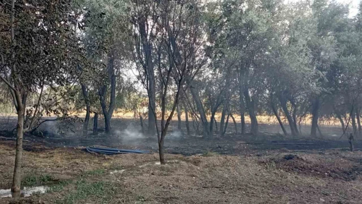 Elazığ'da bahçede korkutan yangın