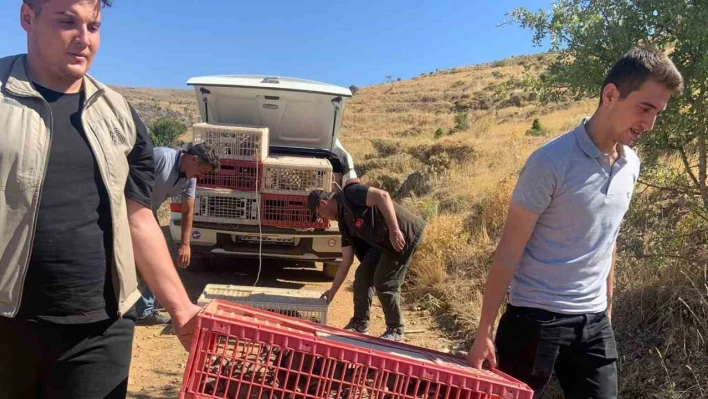 Elazığ'da doğaya keklik salımı gerçekleştirildi, alan 3 yıl boyunca ava kapatıldı