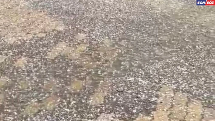 Elazığ'da misket büyüklüğünde dolu yağdı