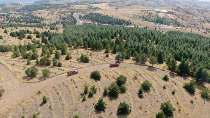 Elazığ'da orman ekipleri, havadan ve karadan denetimlerini sürdürüyor