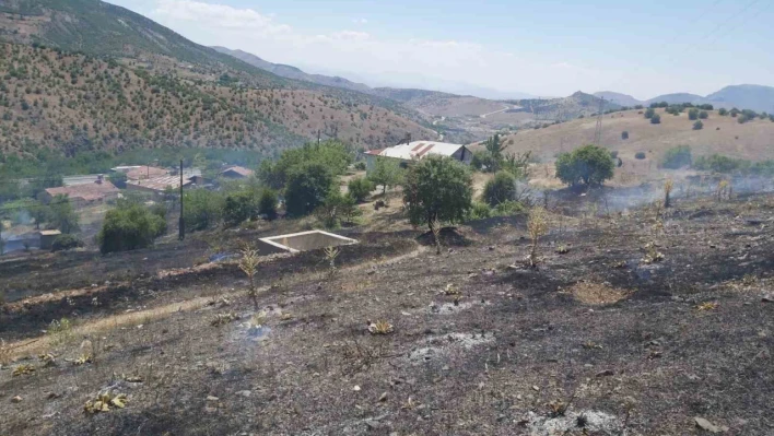 Elazığ'da ot yangını