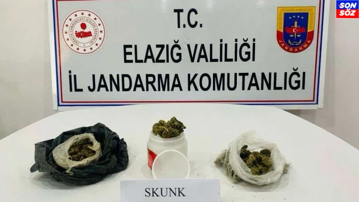 Elazığ'da uyuşturucuyla mücadele: 1 gözaltı