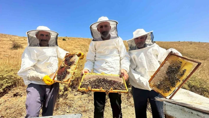 İklim değişikliği ve sıcaklık son 3 yılda bal rekoltesini yüzde 100 düşürdü