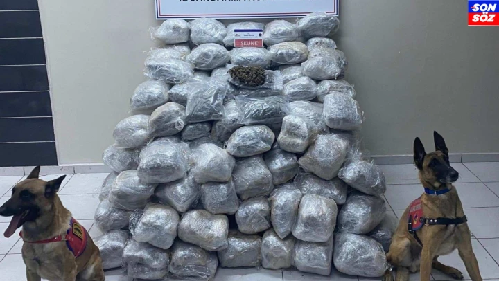 Elazığ'da 138 kilo skunk ele geçirildi
