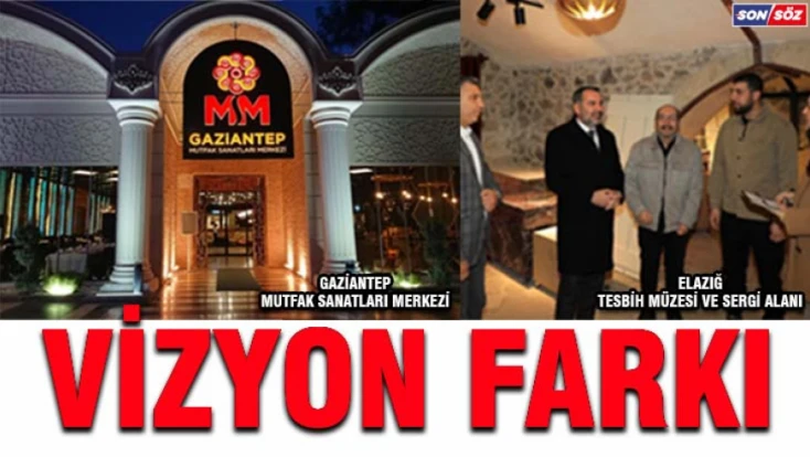 Vizyon Farkı