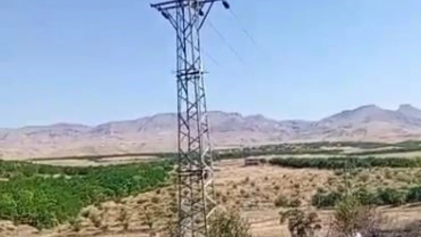 Elektrik direğinden çıkan kılvılcım 5 dönümlük bahçeyi kül etti