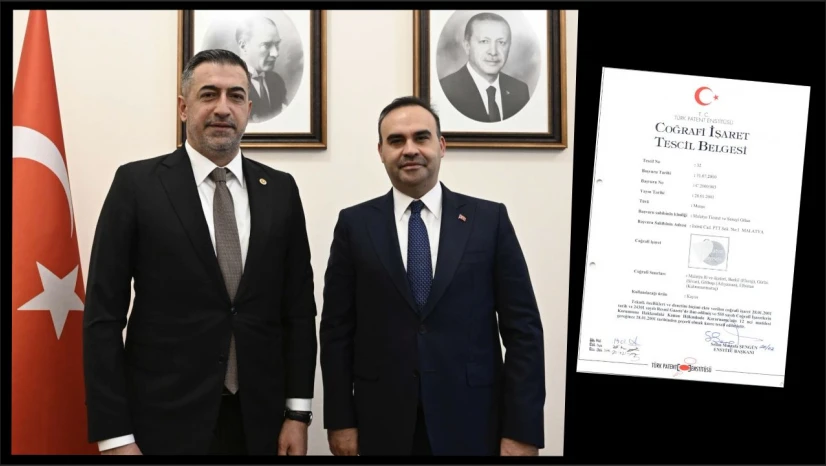 Konu Baskil Kayısısı