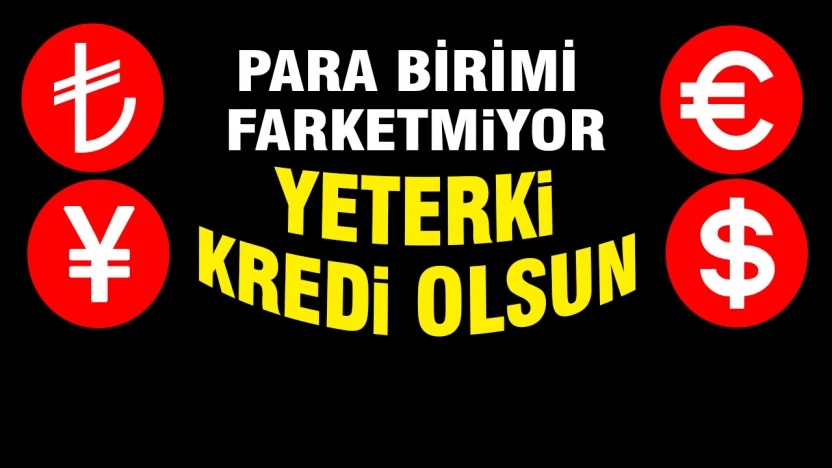 İyice Kredi Bağımlısı oldular.